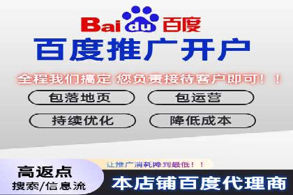 百度推广在电商行业的应用案例